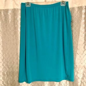 BCBG Aqua A-Line Skirt Pull on Elastic Waist Faux Wrap  24” Length Size Large